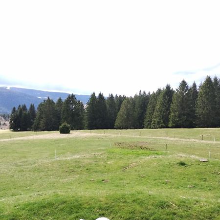 La Ferme Du Levant Gérardmer Dış mekan fotoğraf