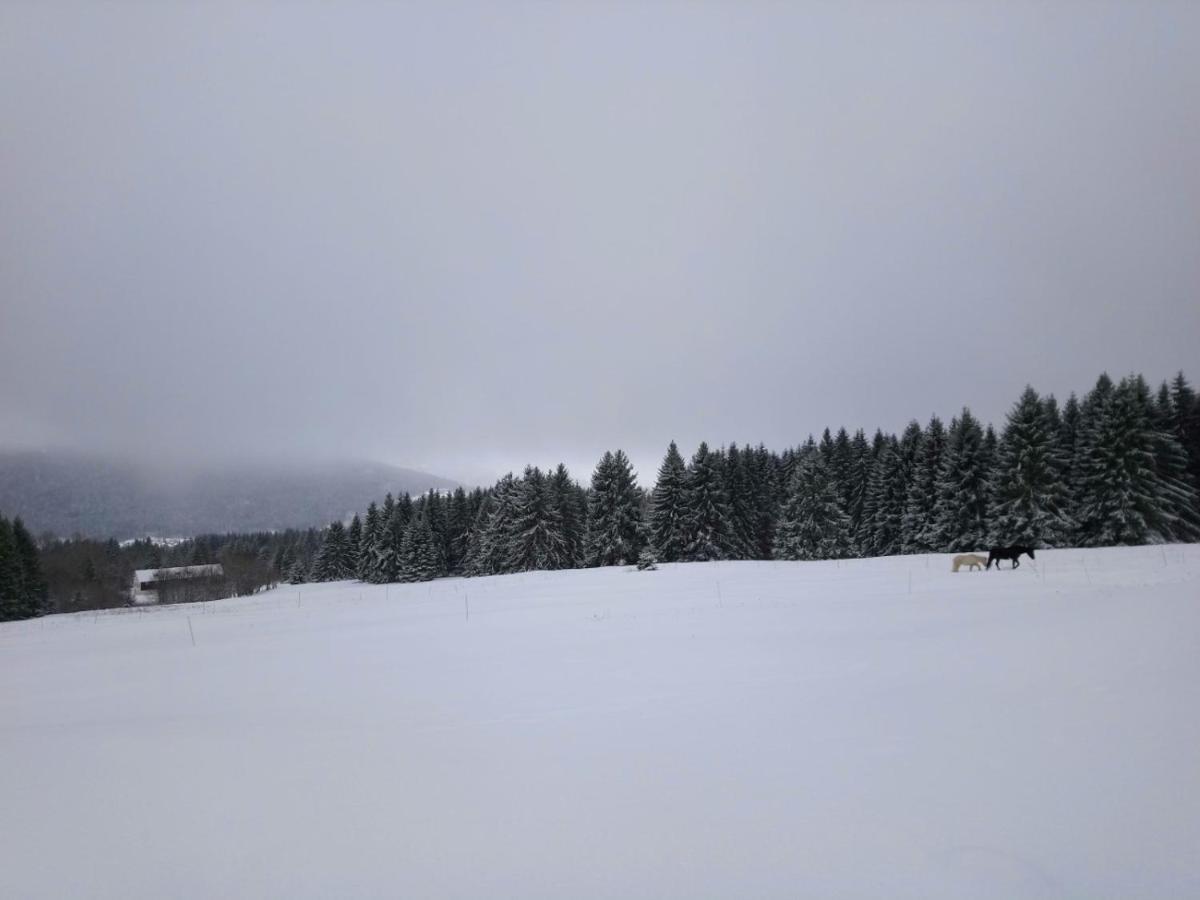 La Ferme Du Levant Gérardmer Dış mekan fotoğraf