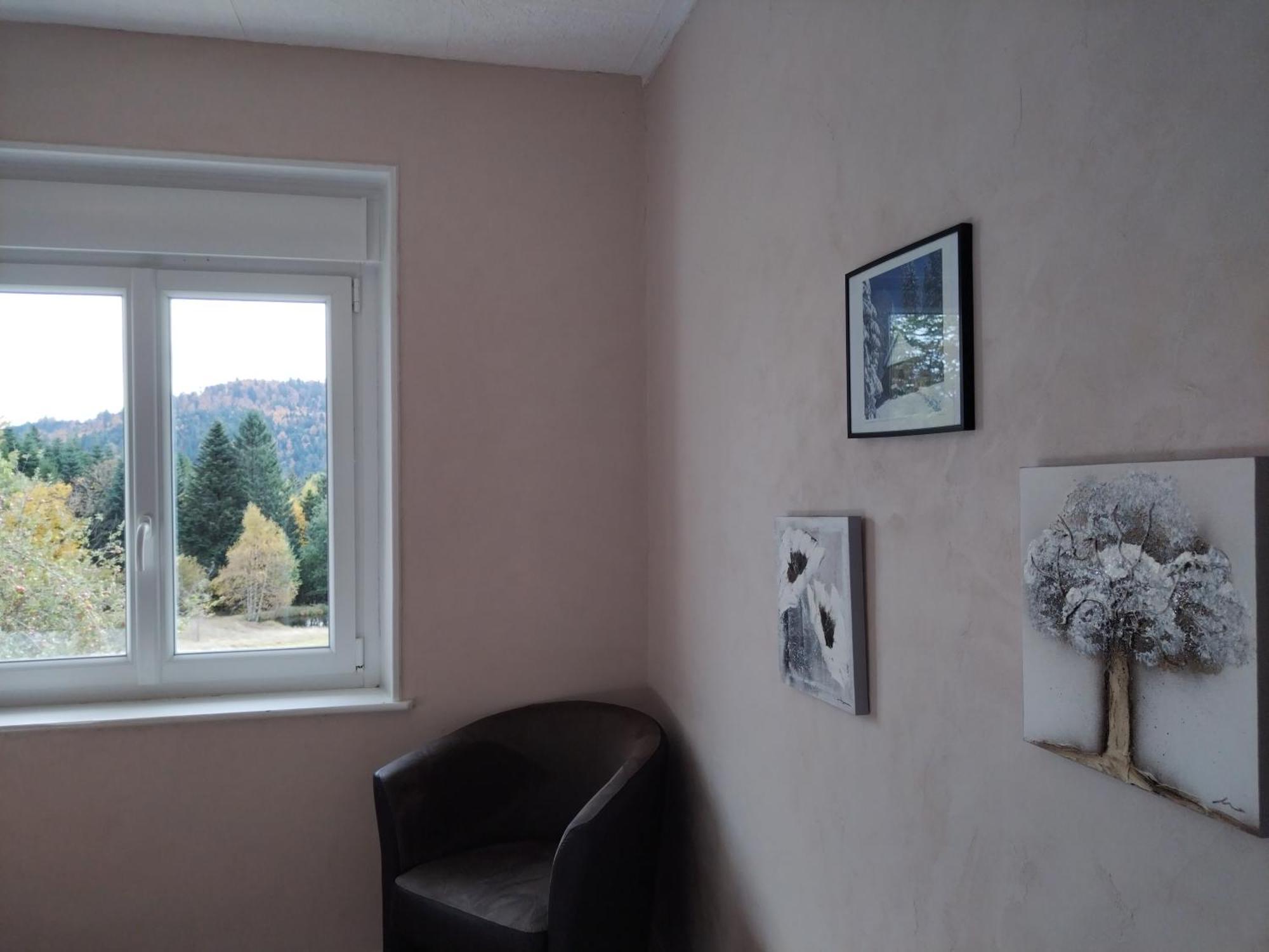 La Ferme Du Levant Gérardmer Dış mekan fotoğraf
