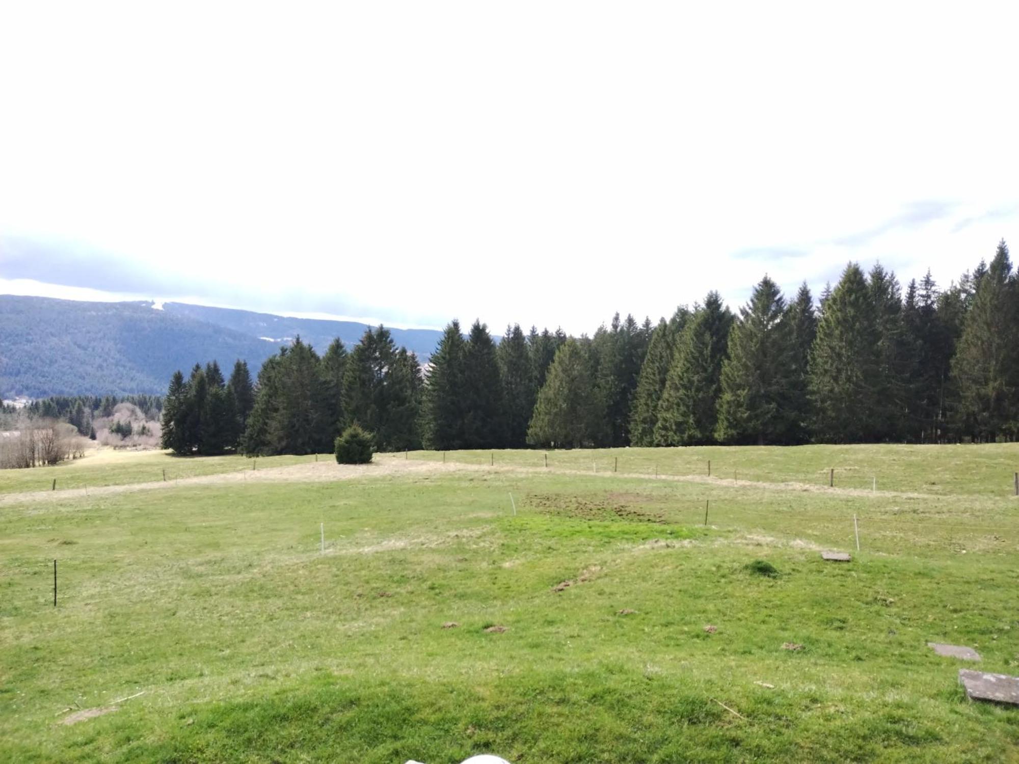 La Ferme Du Levant Gérardmer Dış mekan fotoğraf