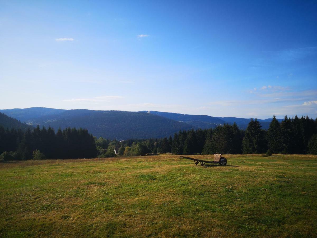 La Ferme Du Levant Gérardmer Dış mekan fotoğraf